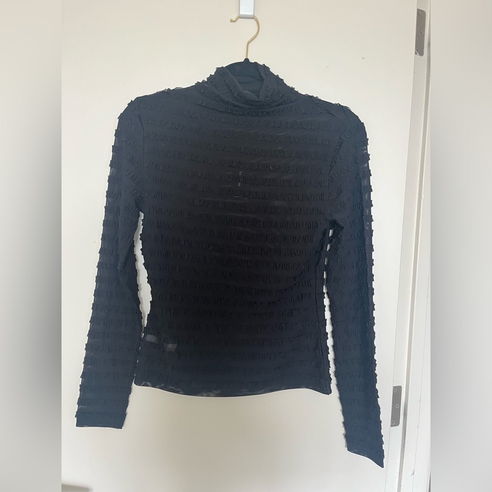 Semi Sheer Black Mock Turtleneck